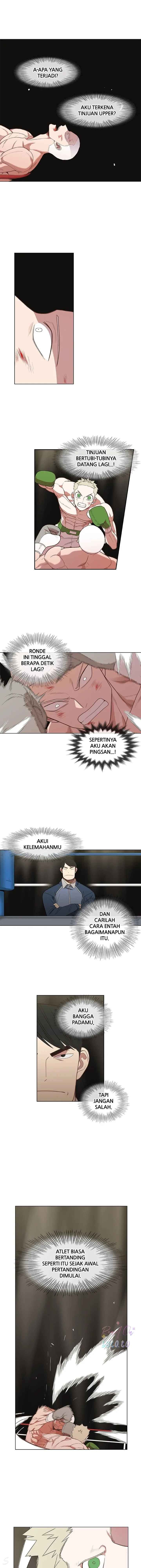 Read The Boxer ID Manga Online