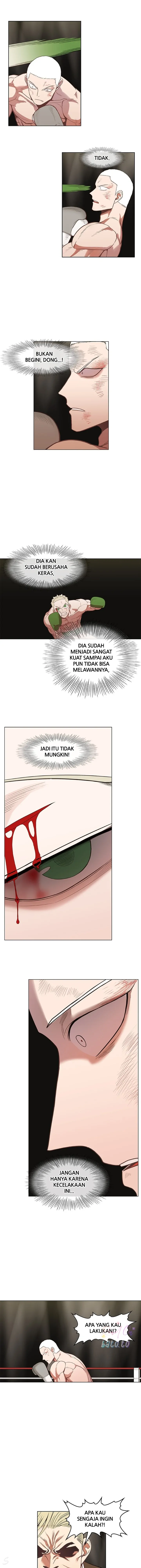 Read The Boxer ID Manga Online