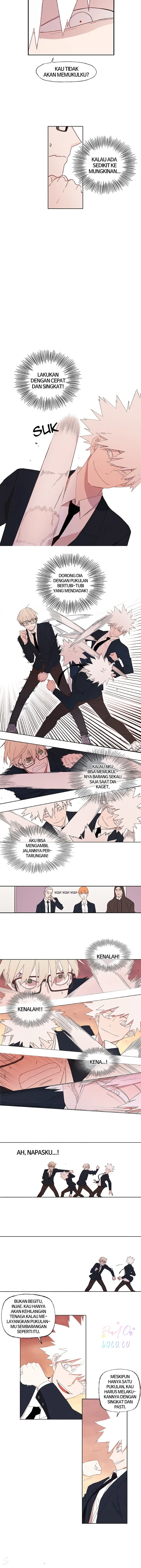 Read The Boxer ID Manga Online