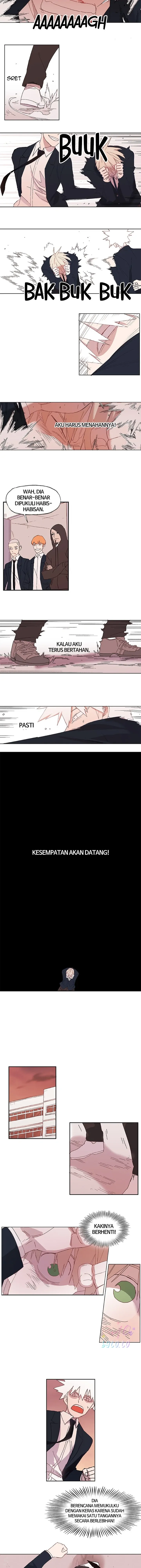 Read The Boxer ID Manga Online