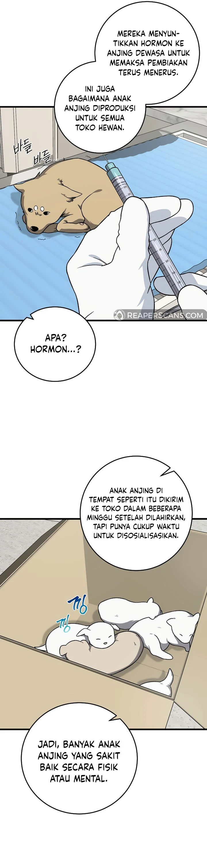 Read This Is The Law ID Manga Online