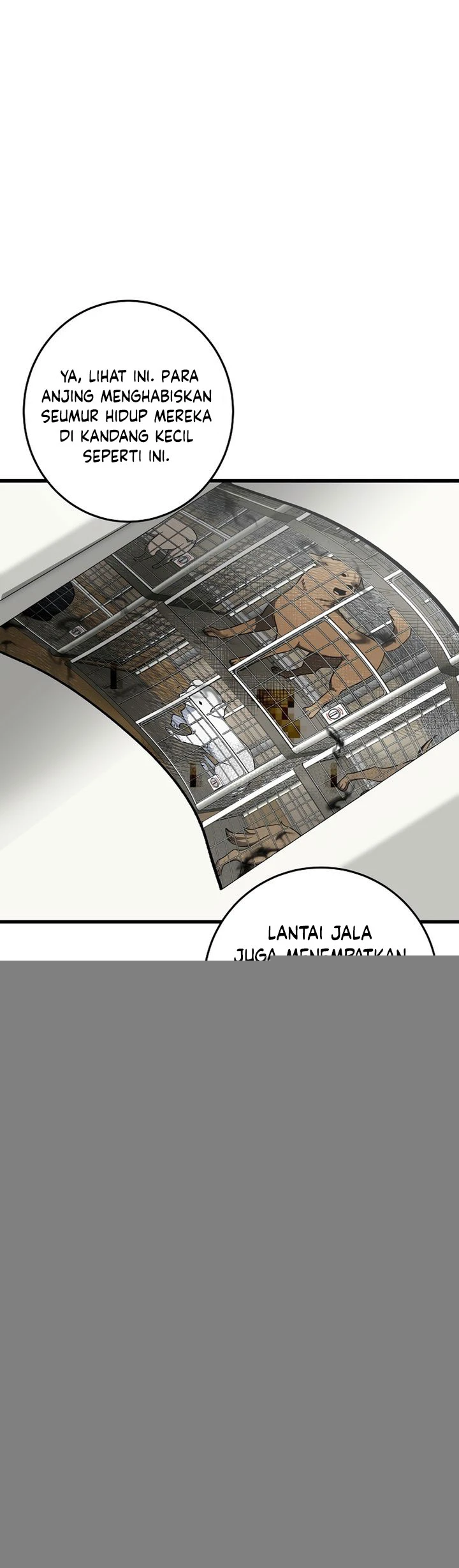 Read This Is The Law ID Manga Online