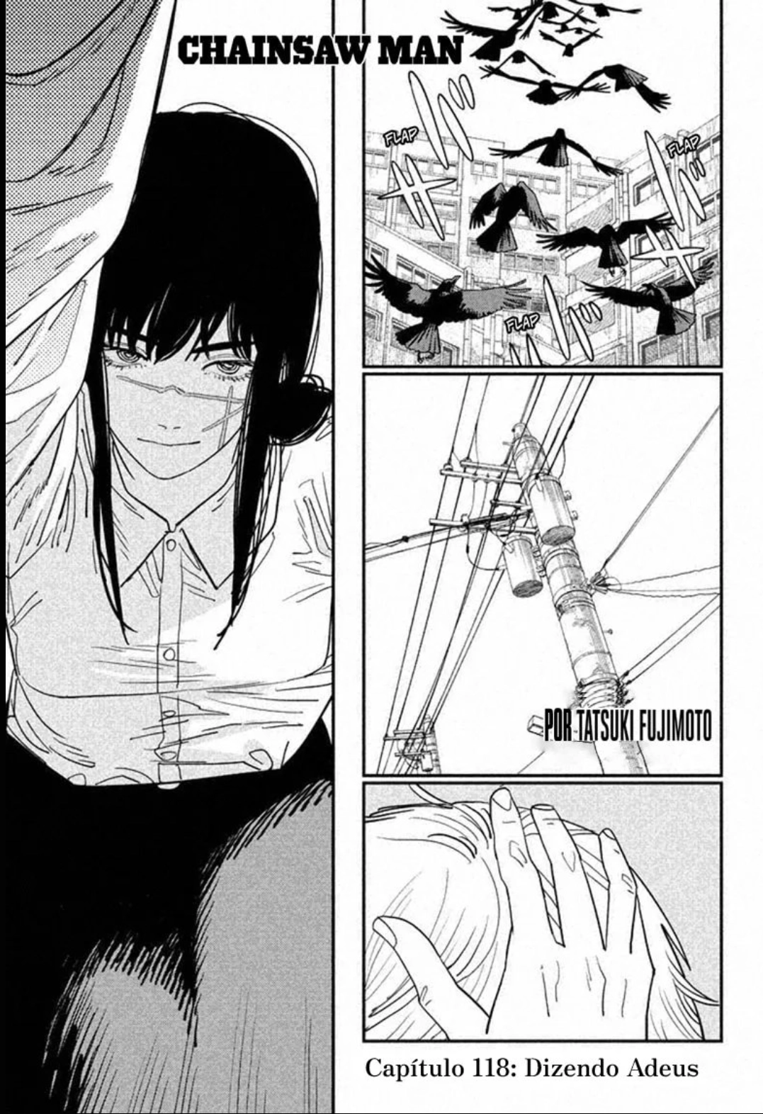 Read Chainsaw Man PT Manga Online