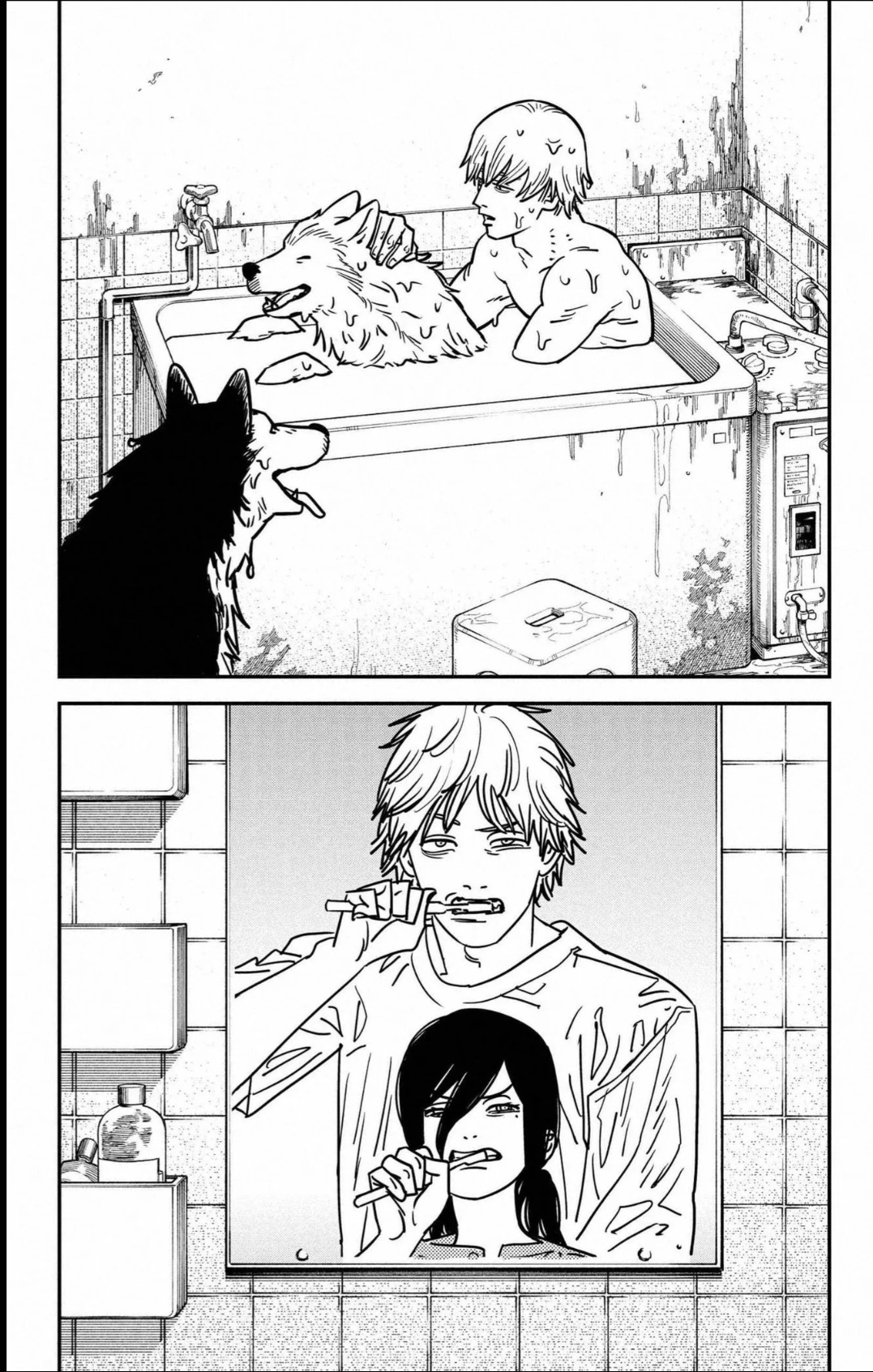 Read Chainsaw Man PT Manga Online