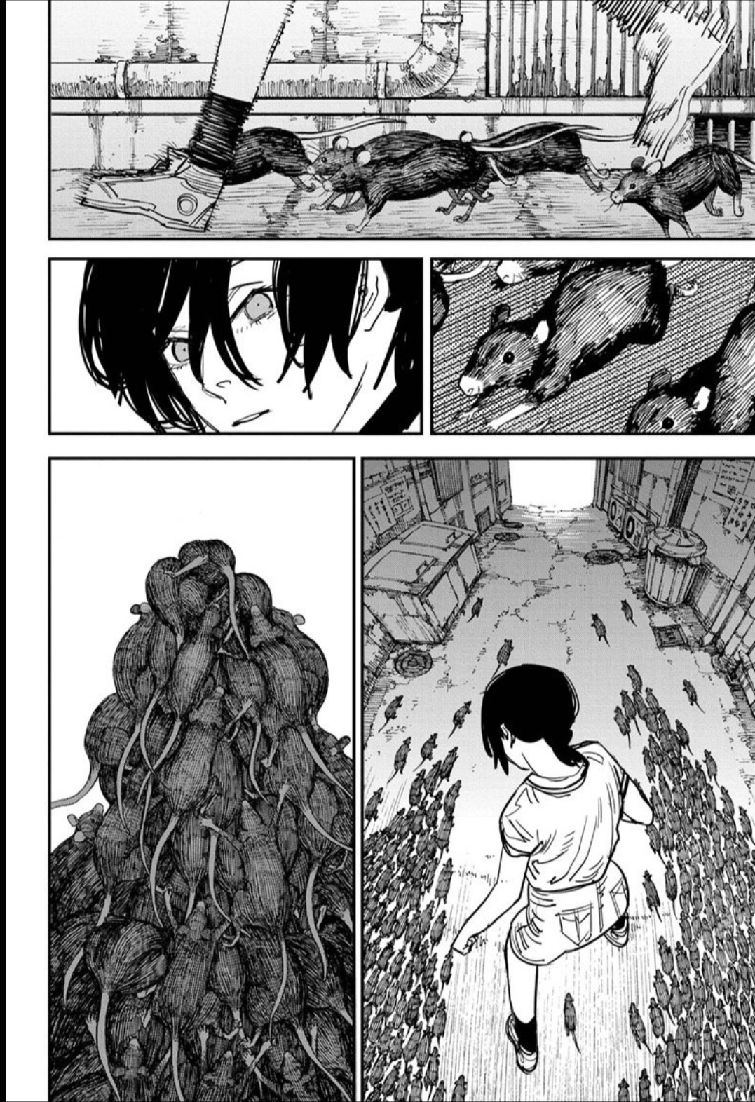Read Chainsaw Man PT Manga Online