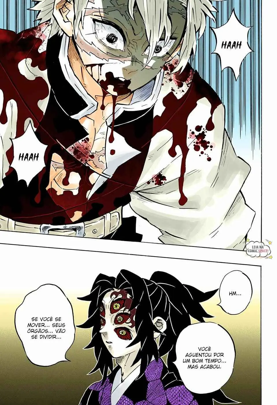 Read Demon Slayer Kimetsu no Yaiba PT Manga Online