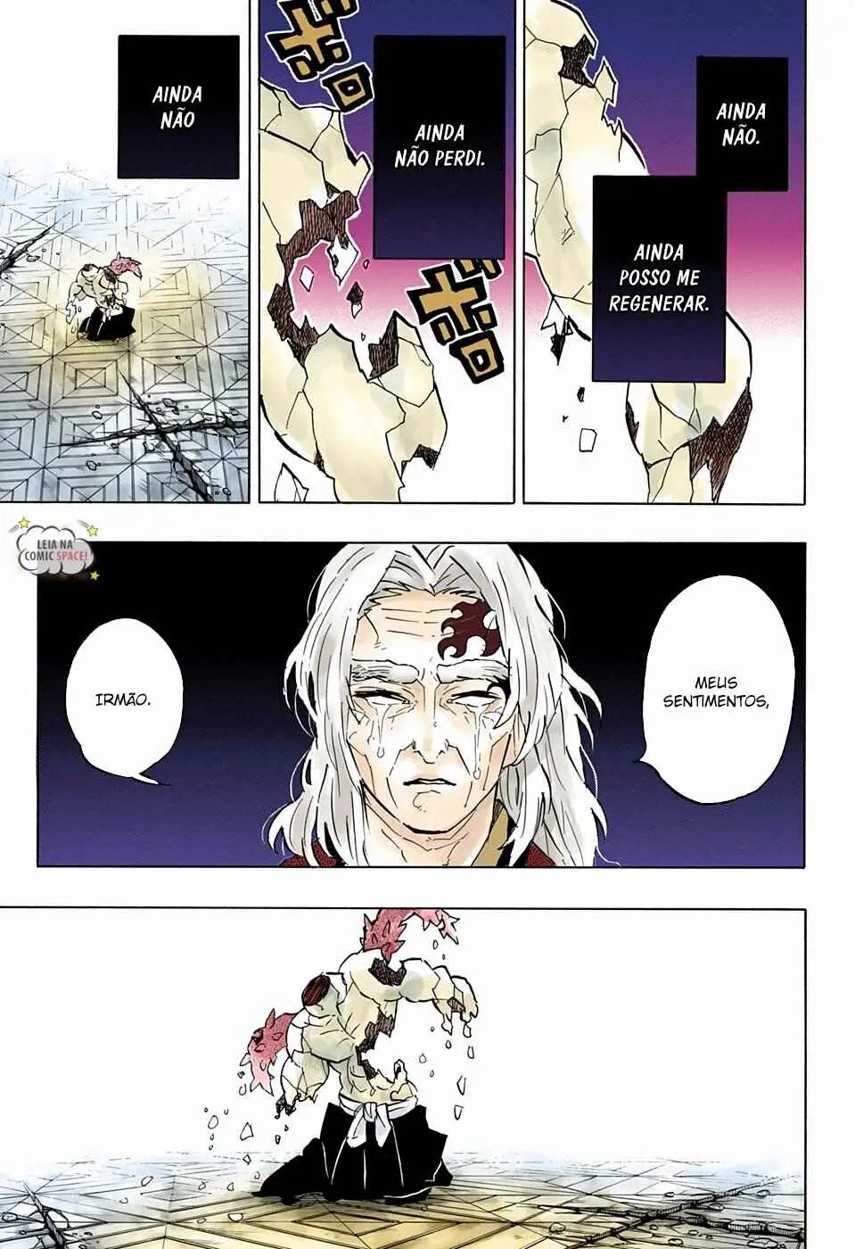 Read Demon Slayer Kimetsu no Yaiba PT Manga Online