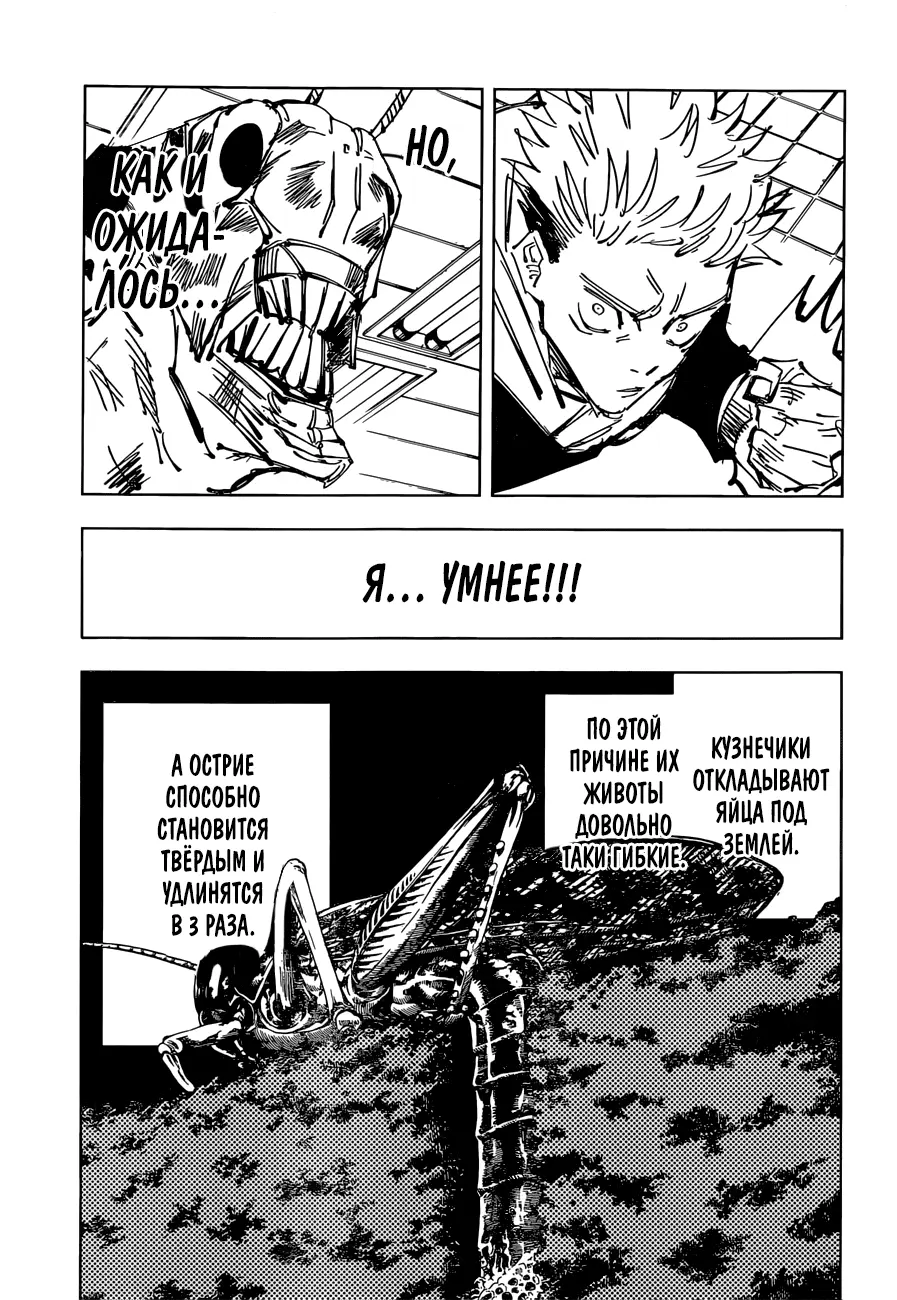 Read Магическая битва Manga Online