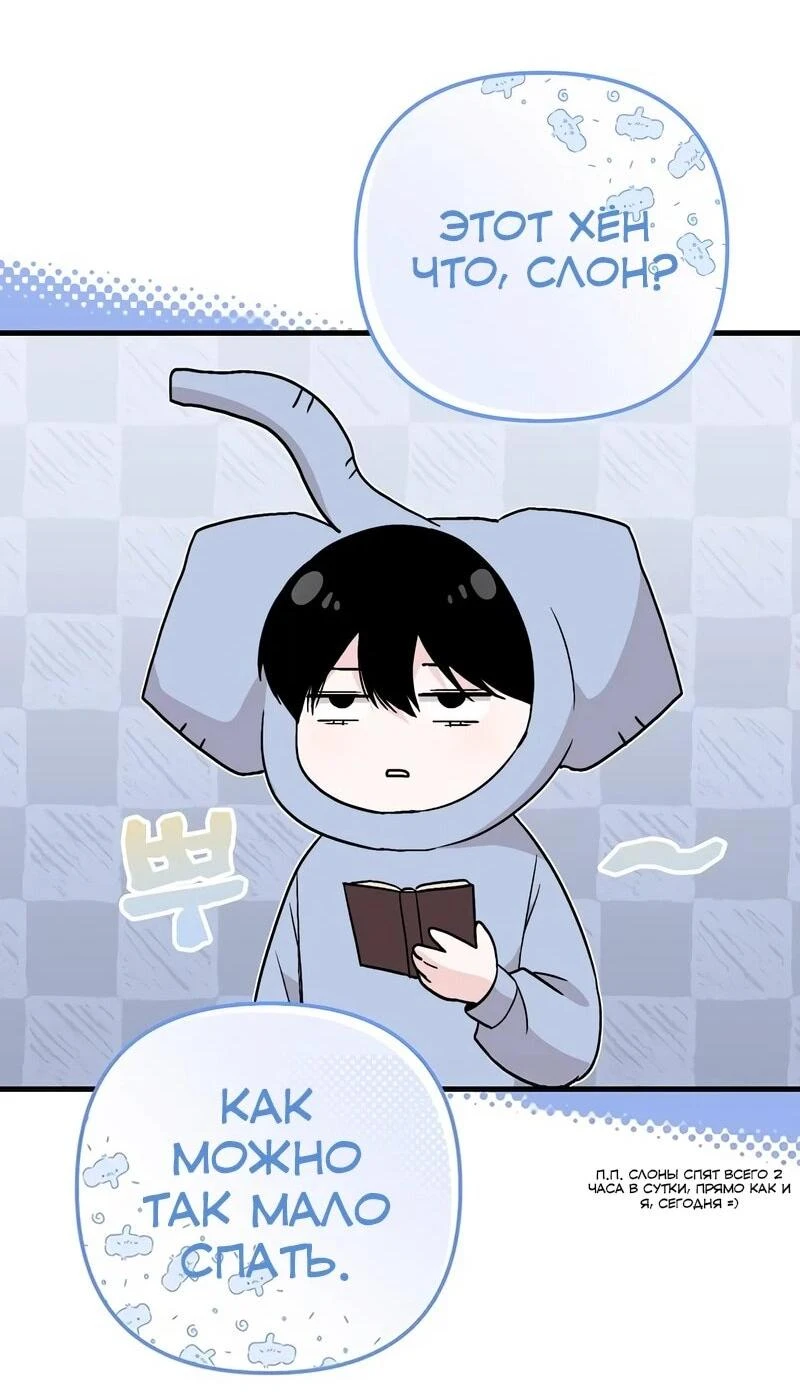 Read Менеджер Ким ненавидит айдолов Manga Online