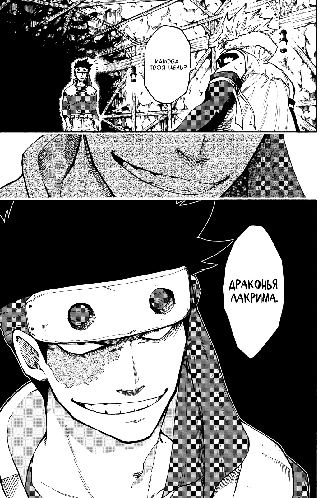 Read Хвост Феи Гайдэн - Дуэт саблезубых драконов Manga Online