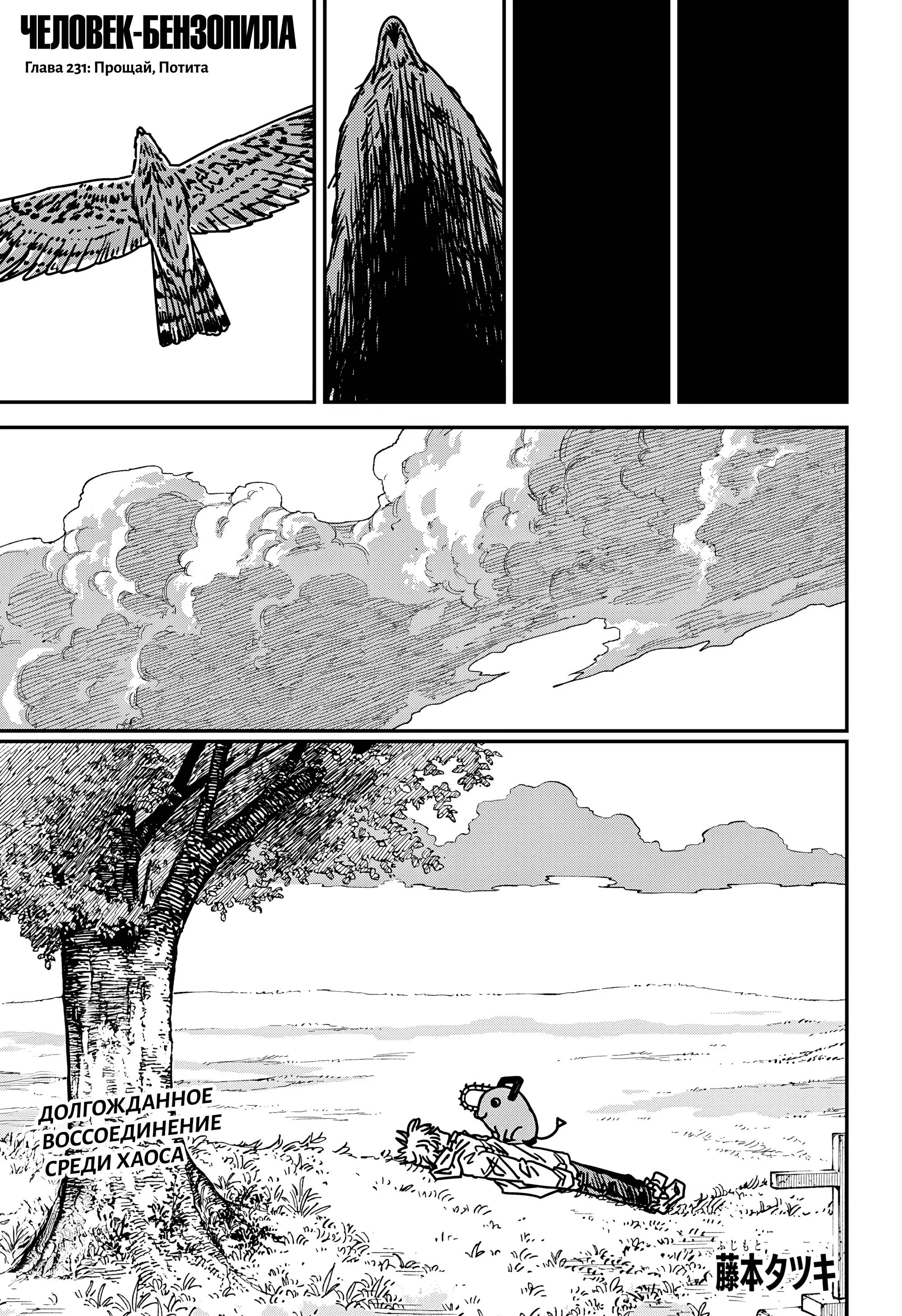Read Chainsaw Man RU Manga Online
