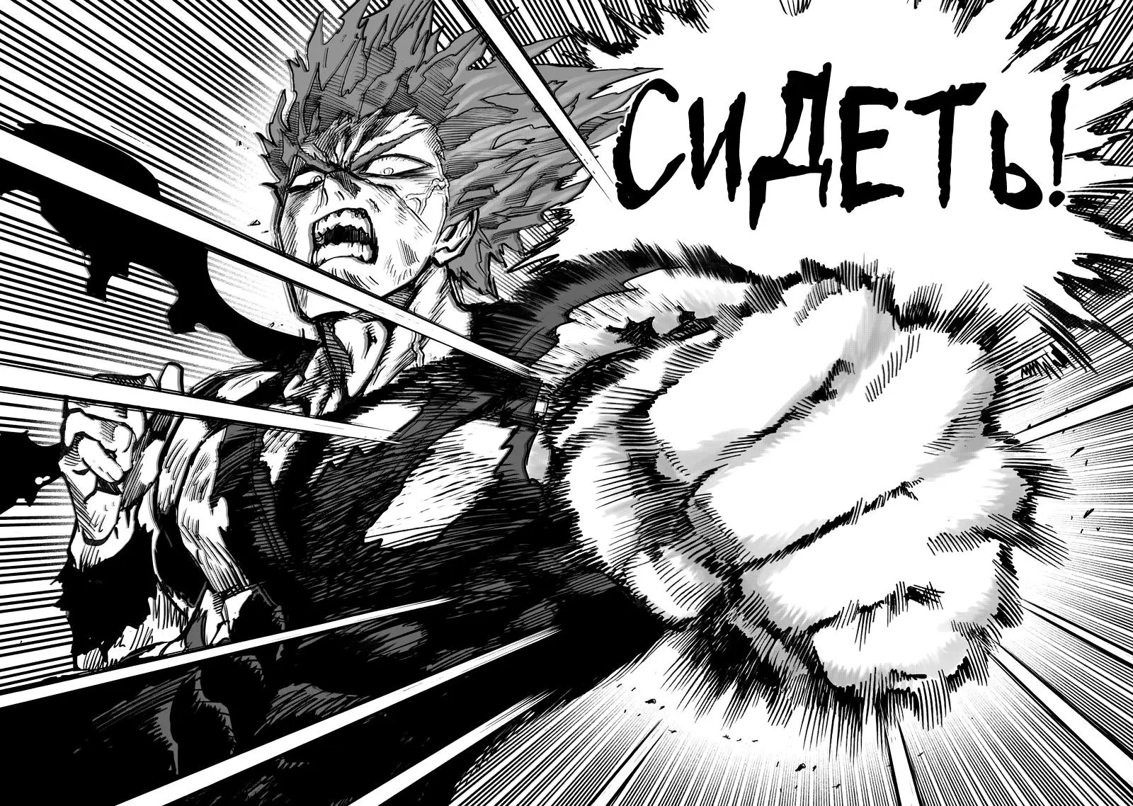 Read One punch man RU Manga Online