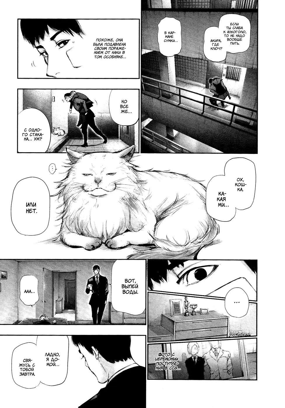 Read Tokyo Ghoul RU Manga Online