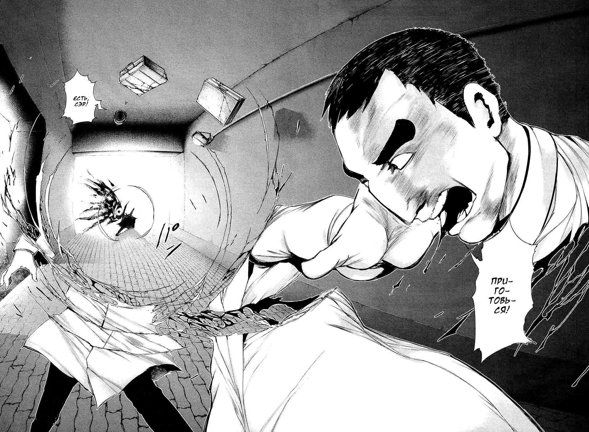 Read Tokyo Ghoul RU Manga Online