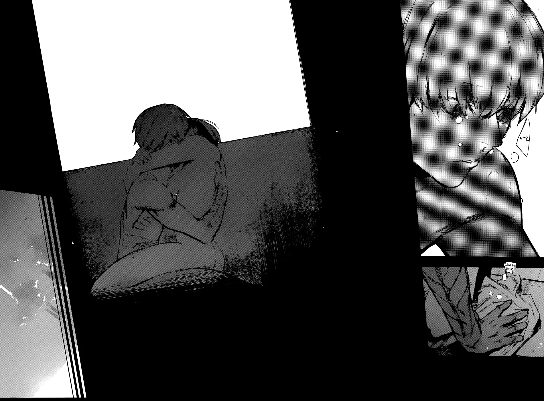 Read Tokyo Ghoul re RU Manga Online