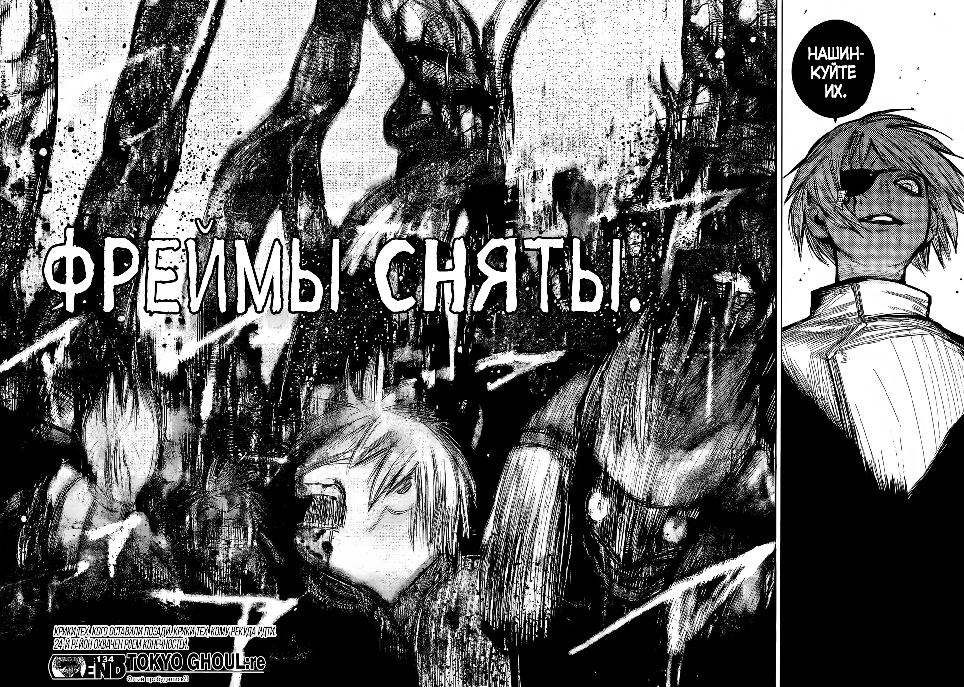 Read Tokyo Ghoul re RU Manga Online