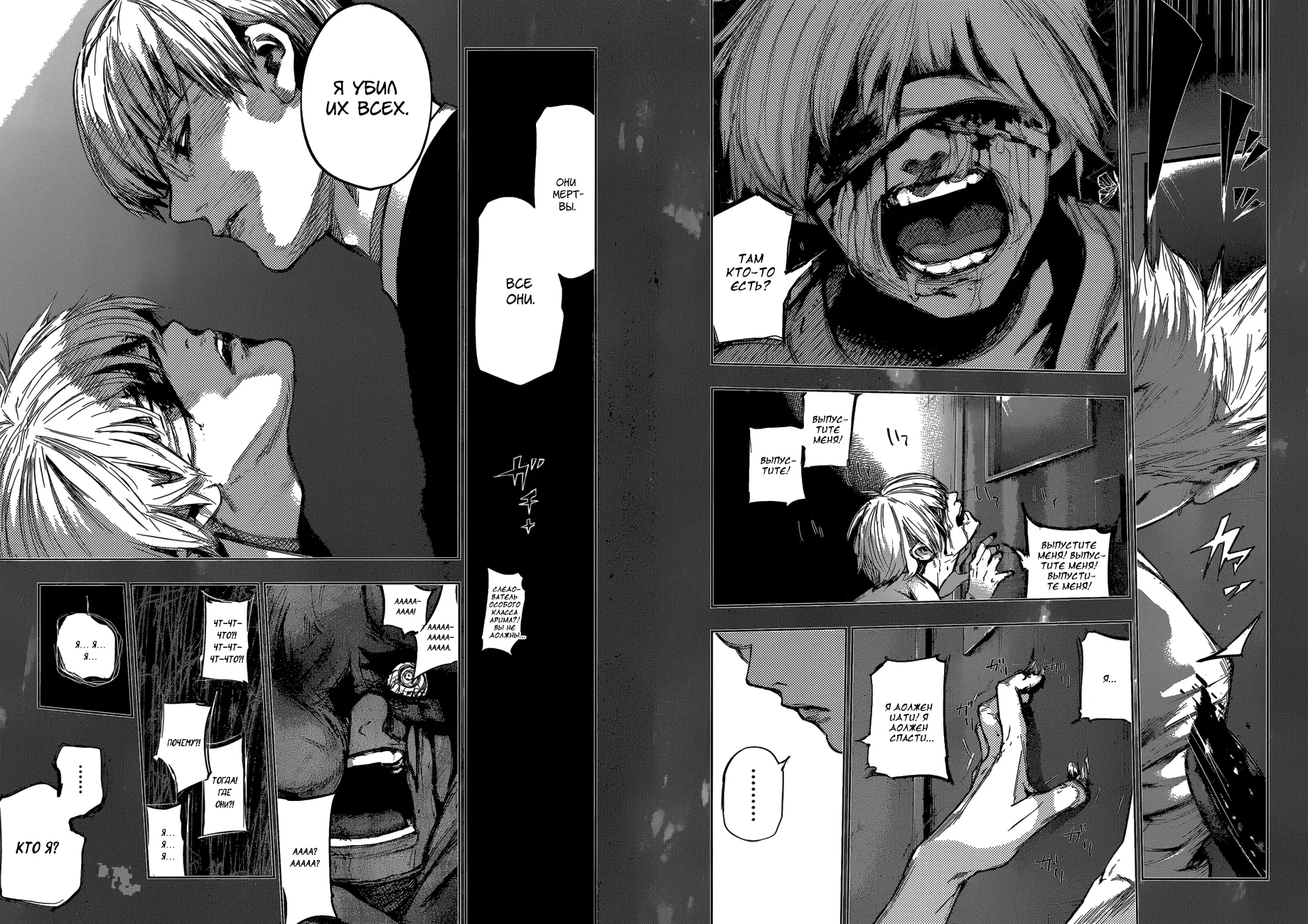 Read Tokyo Ghoul re RU Manga Online