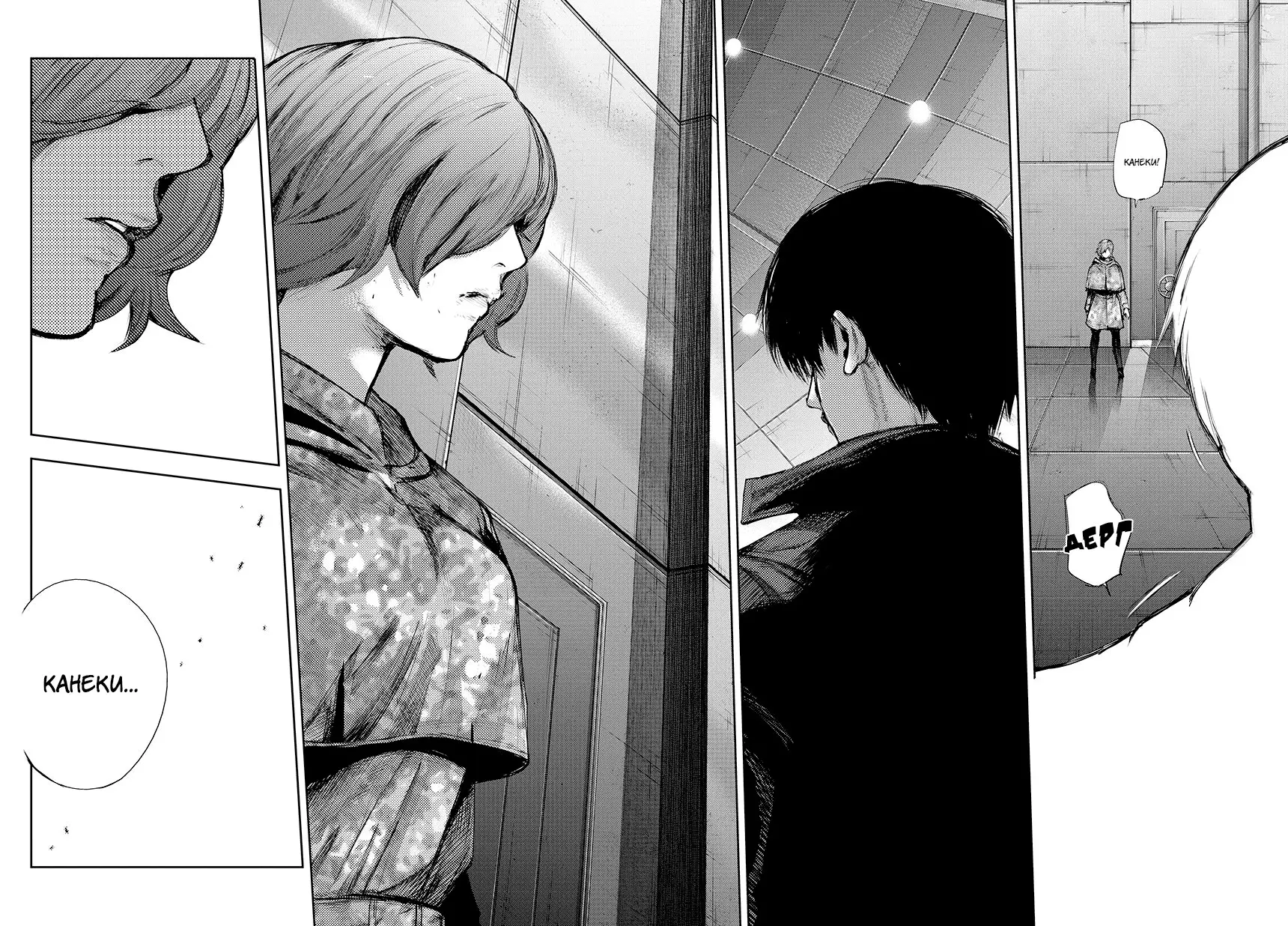Read Tokyo Ghoul re RU Manga Online