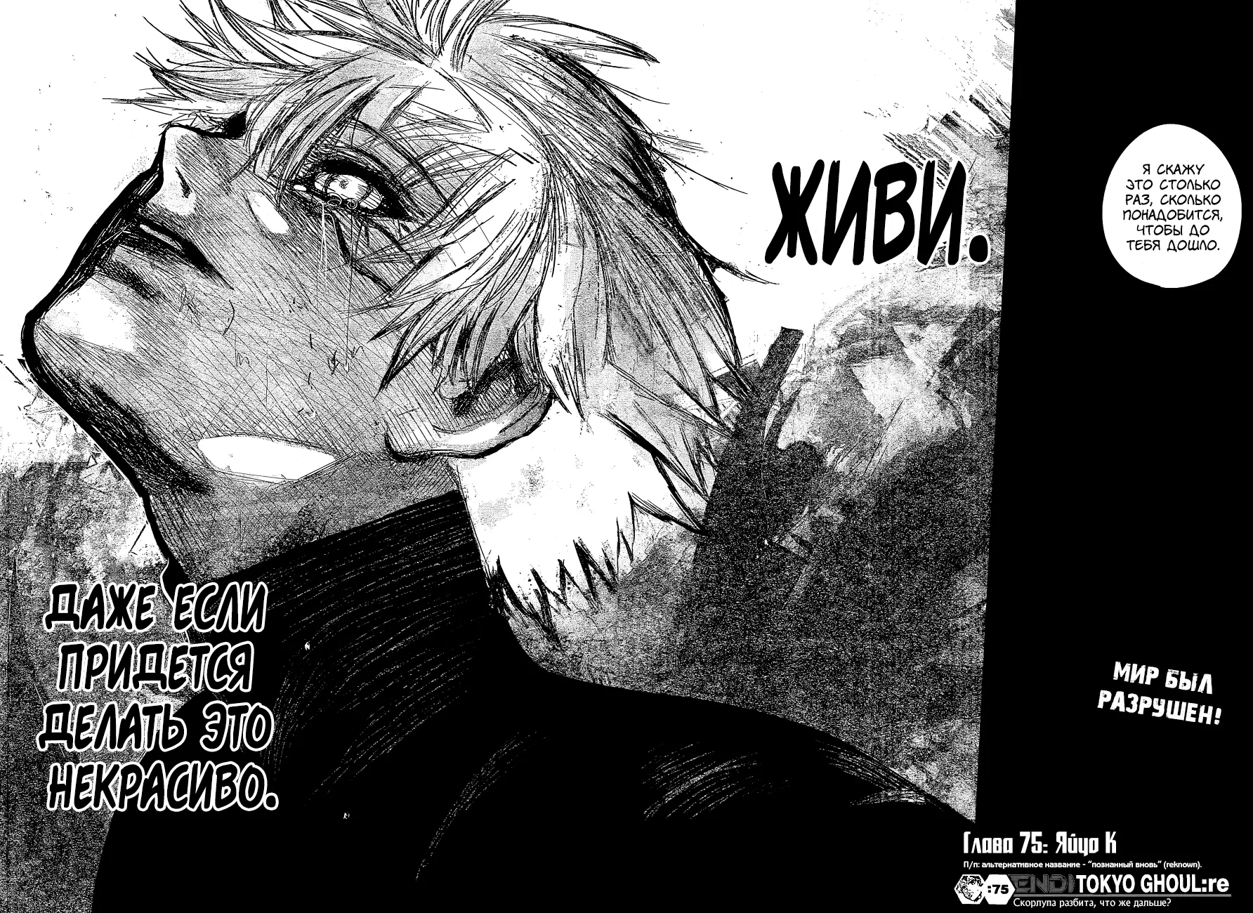 Read Tokyo Ghoul re RU Manga Online