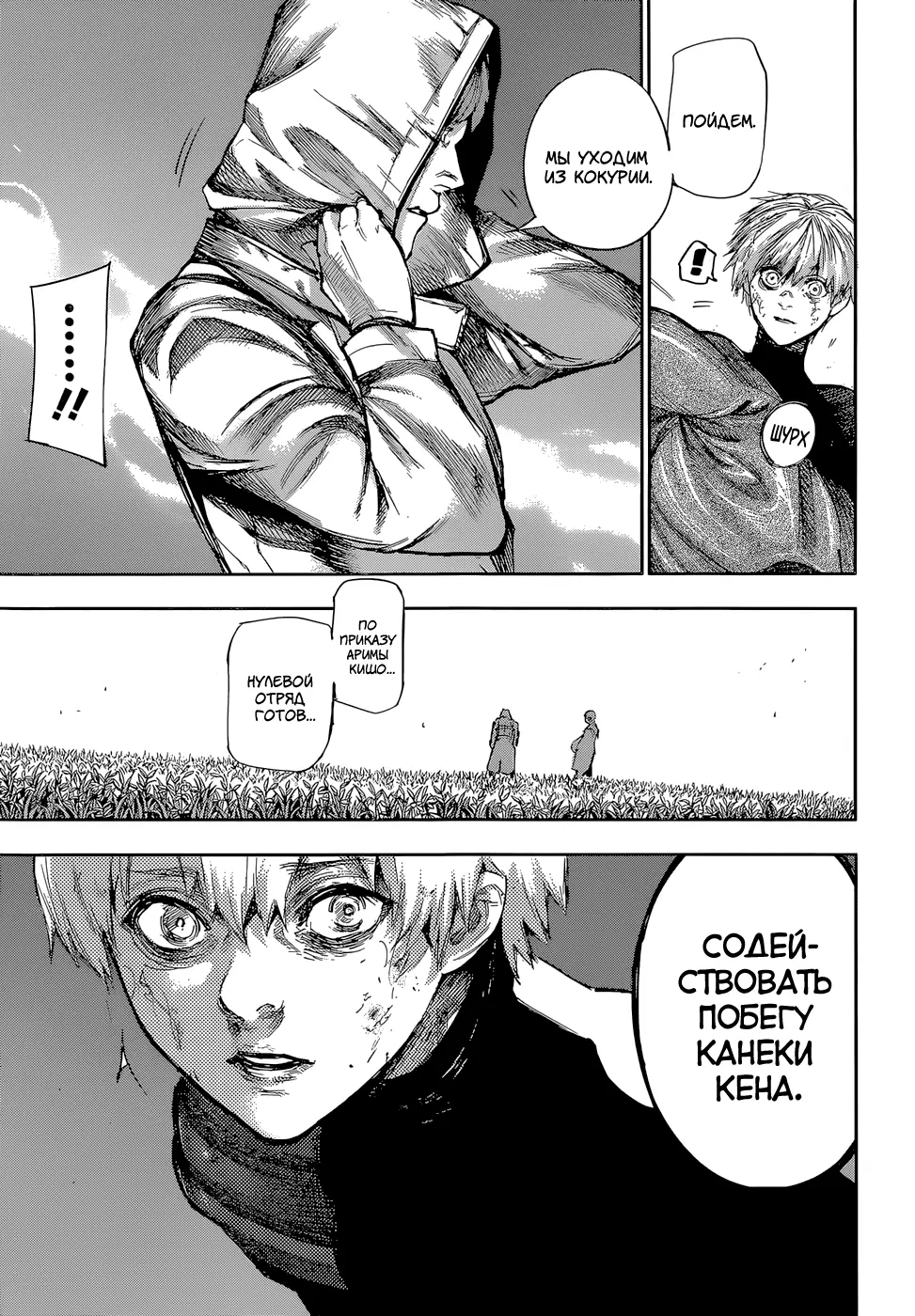 Read Tokyo Ghoul re RU Manga Online