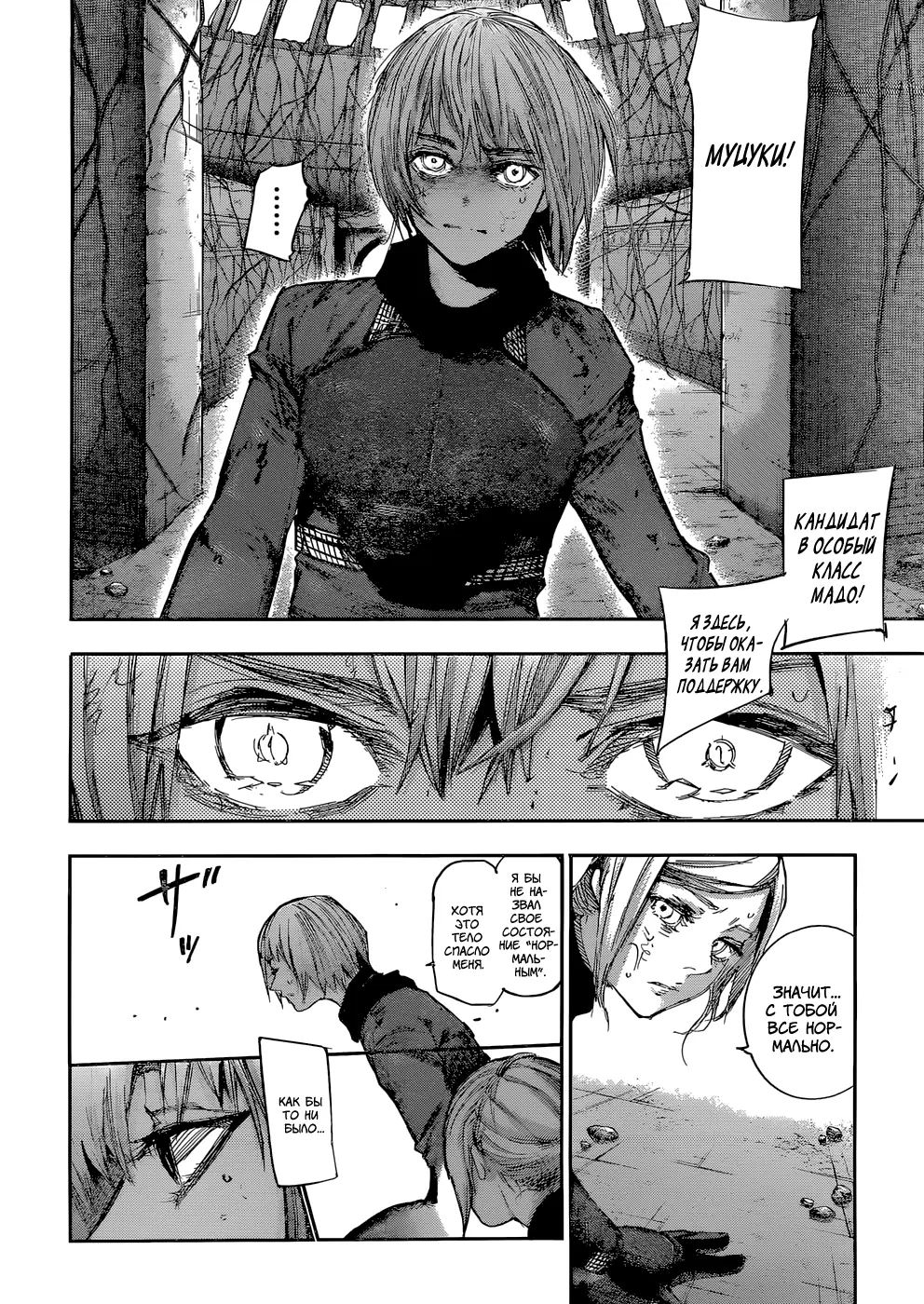 Read Tokyo Ghoul re RU Manga Online
